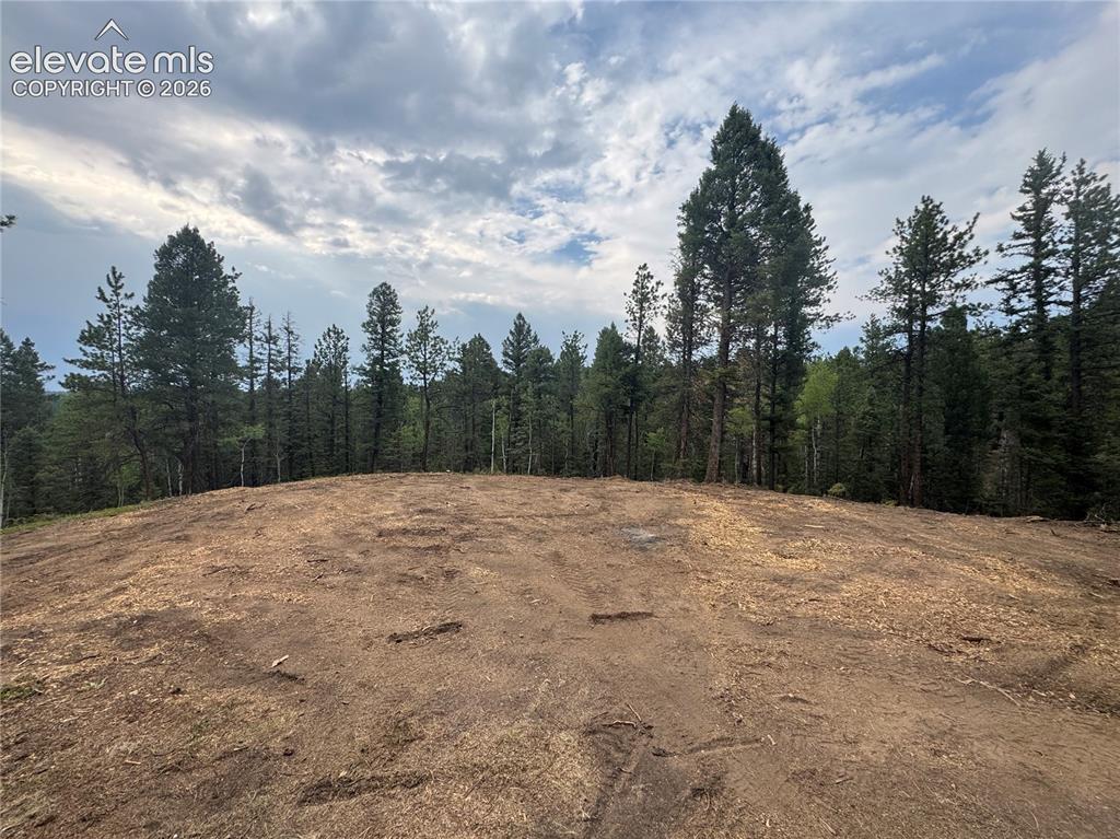 111 Elk Creek Drive Divide CO 80814