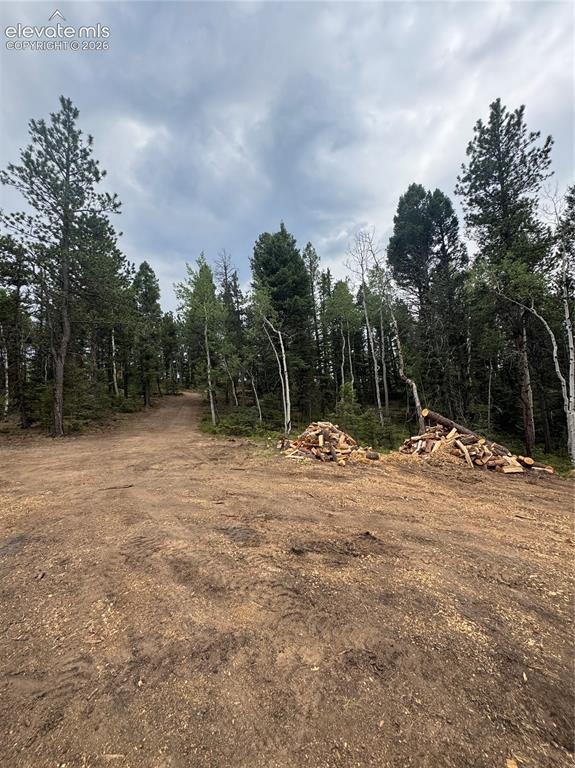 111 Elk Creek Drive Divide CO 80814