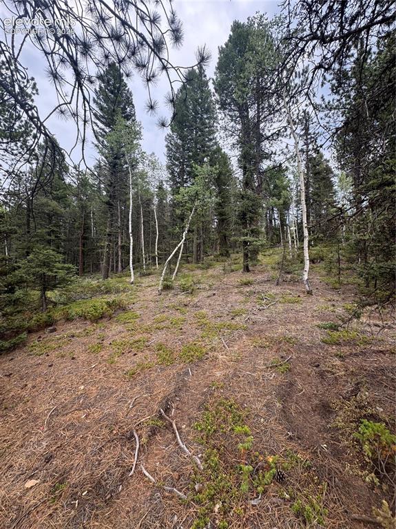 111 Elk Creek Drive Divide CO 80814