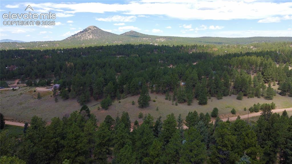 1570 Pathfinder Road Florissant CO 80816