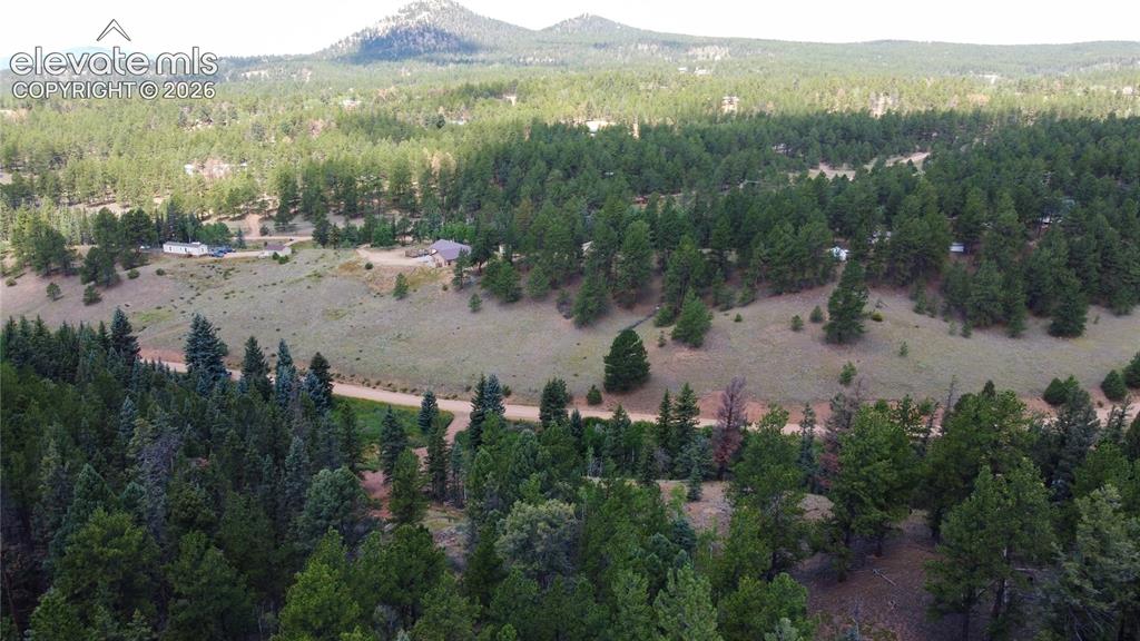 1570 Pathfinder Road Florissant CO 80816