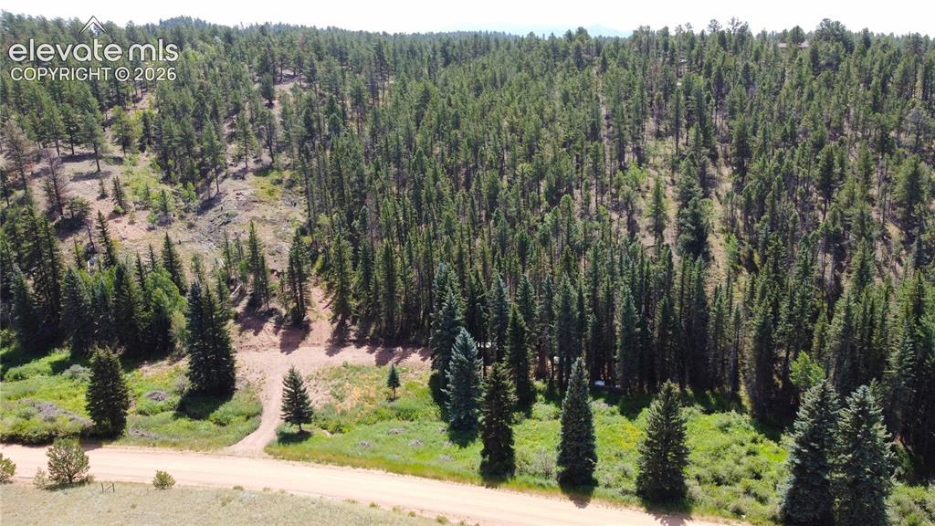 1570 Pathfinder Road Florissant CO 80816