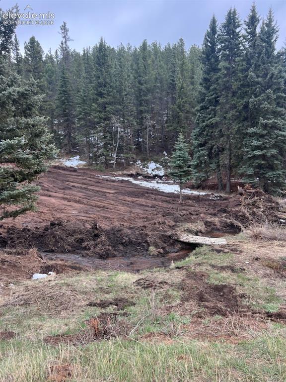 1570 Pathfinder Road Florissant CO 80816