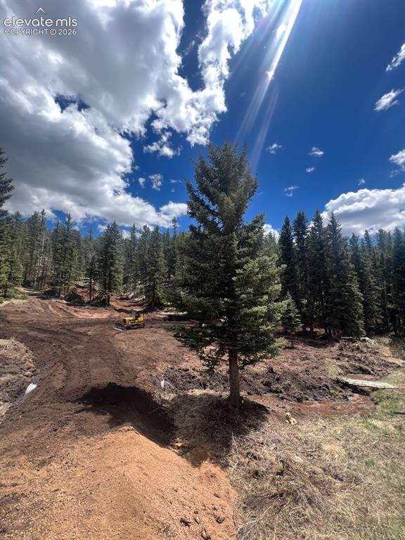 1570 Pathfinder Road Florissant CO 80816