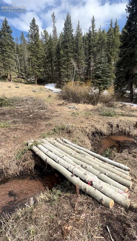 1570 Pathfinder Road Florissant CO 80816