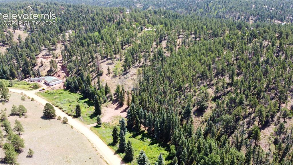 1570 Pathfinder Road Florissant CO 80816