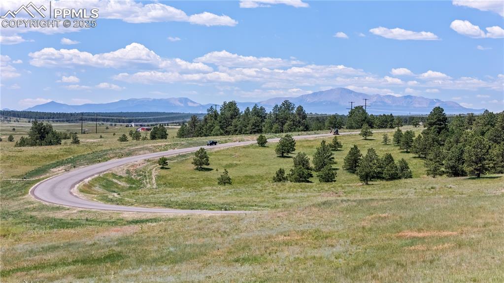 10698 Alamar Way Colorado Springs CO 80908