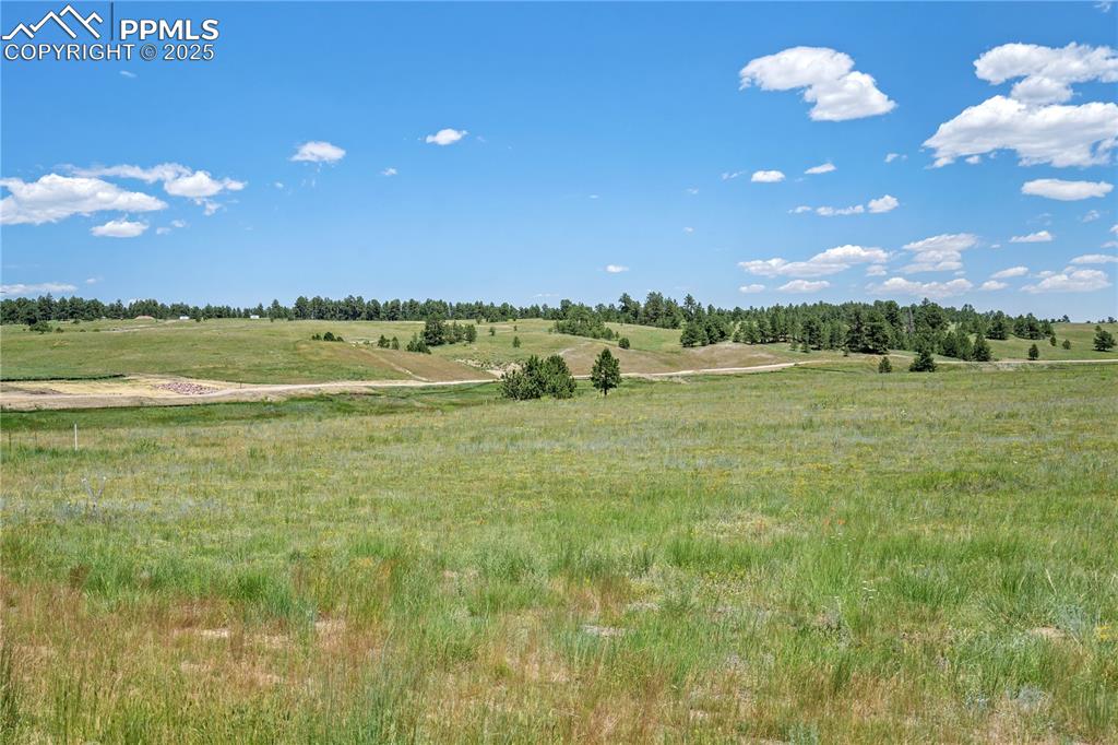 10698 Alamar Way Colorado Springs CO 80908