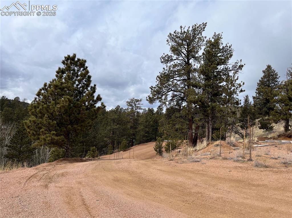 351 Dandy Jim Drive Cripple Creek CO 80813