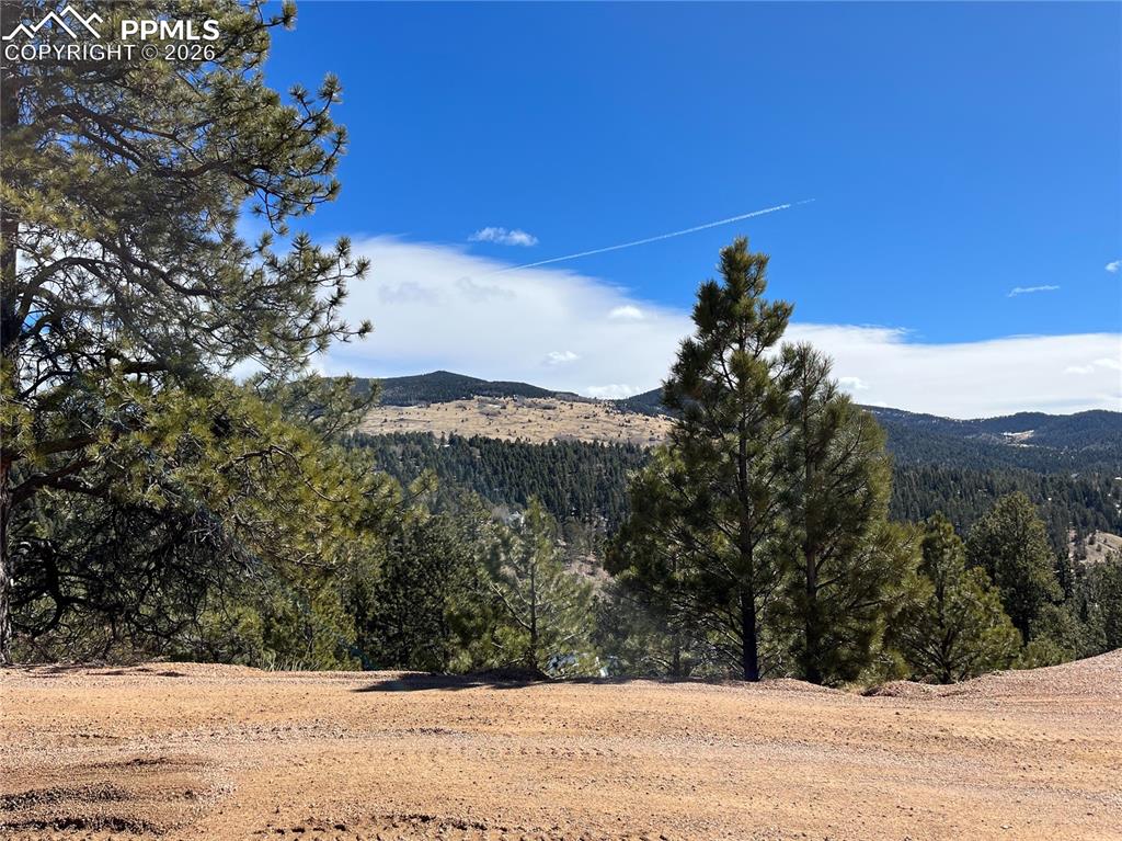 351 Dandy Jim Drive Cripple Creek CO 80813