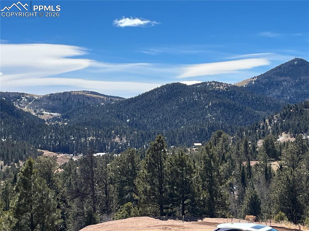 351 Dandy Jim Drive Cripple Creek CO 80813