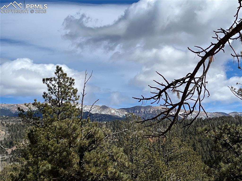 351 Dandy Jim Drive Cripple Creek CO 80813