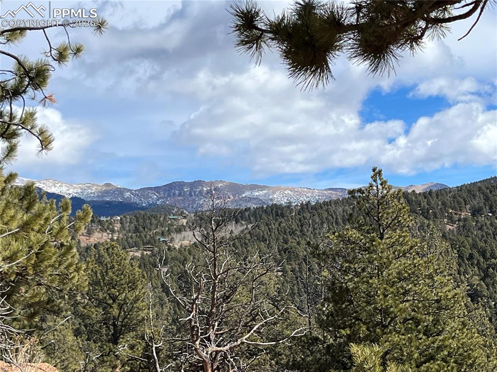 351 Dandy Jim Drive Cripple Creek CO 80813