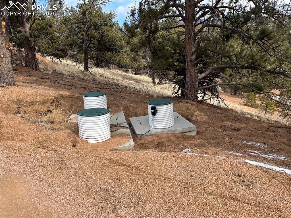 351 Dandy Jim Drive Cripple Creek CO 80813