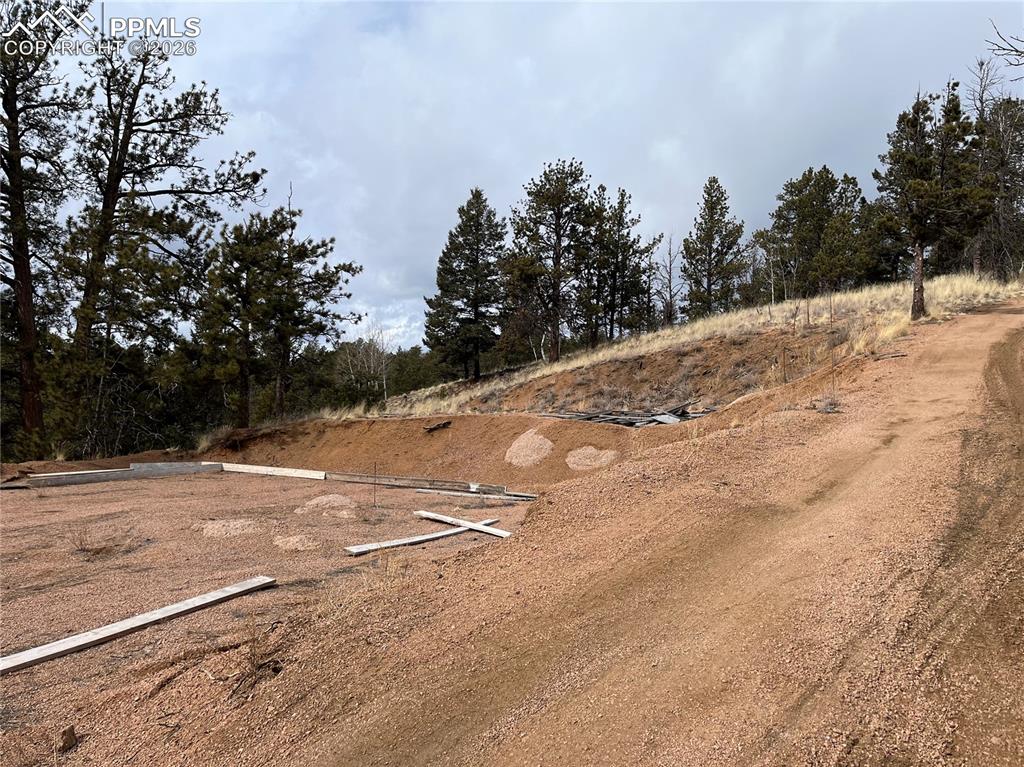 351 Dandy Jim Drive Cripple Creek CO 80813