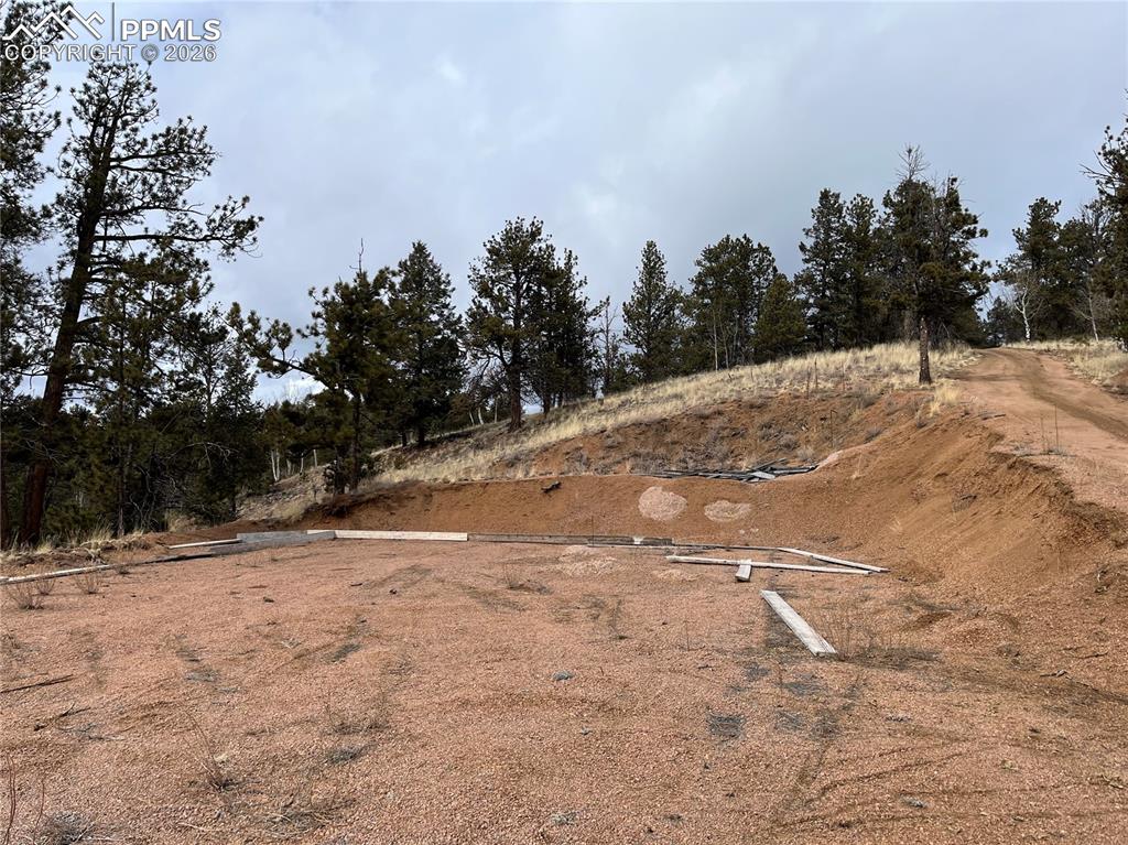 351 Dandy Jim Drive Cripple Creek CO 80813