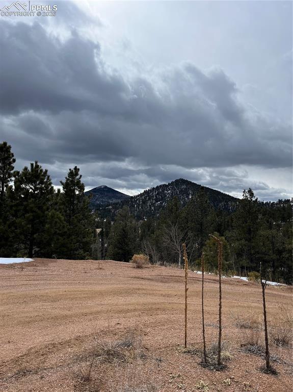 351 Dandy Jim Drive Cripple Creek CO 80813