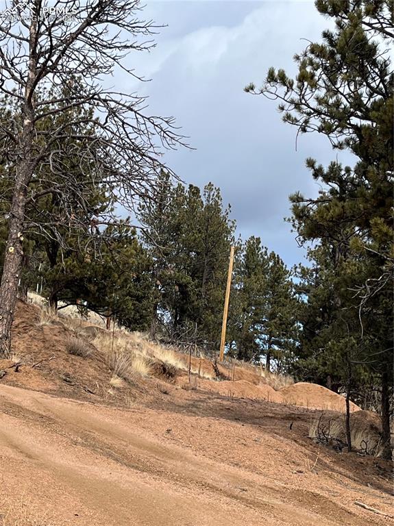 351 Dandy Jim Drive Cripple Creek CO 80813