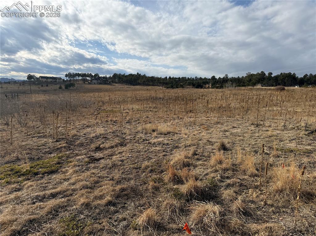 13810 Wildoak Drive Black Forest CO 80908