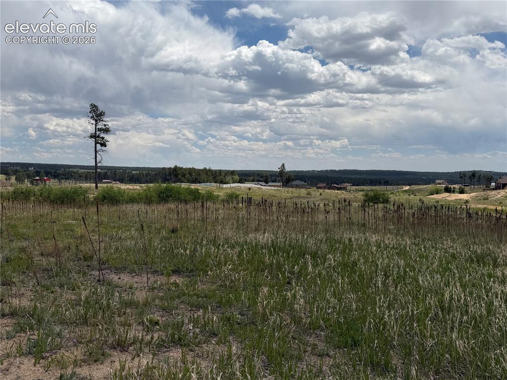 13810 Wildoak Drive Black Forest CO 80908