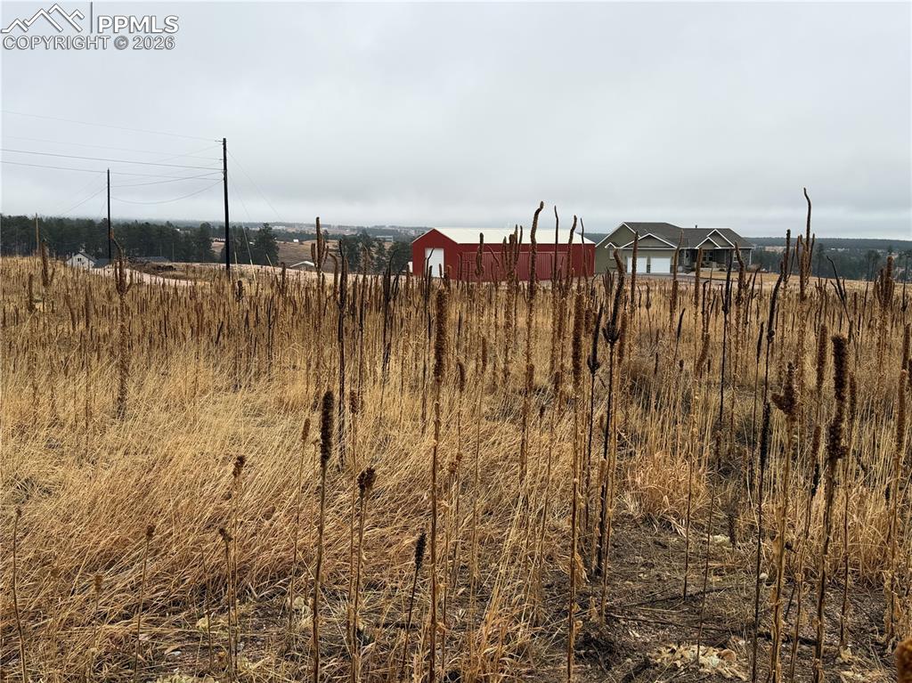 13810 Wildoak Drive Black Forest CO 80908