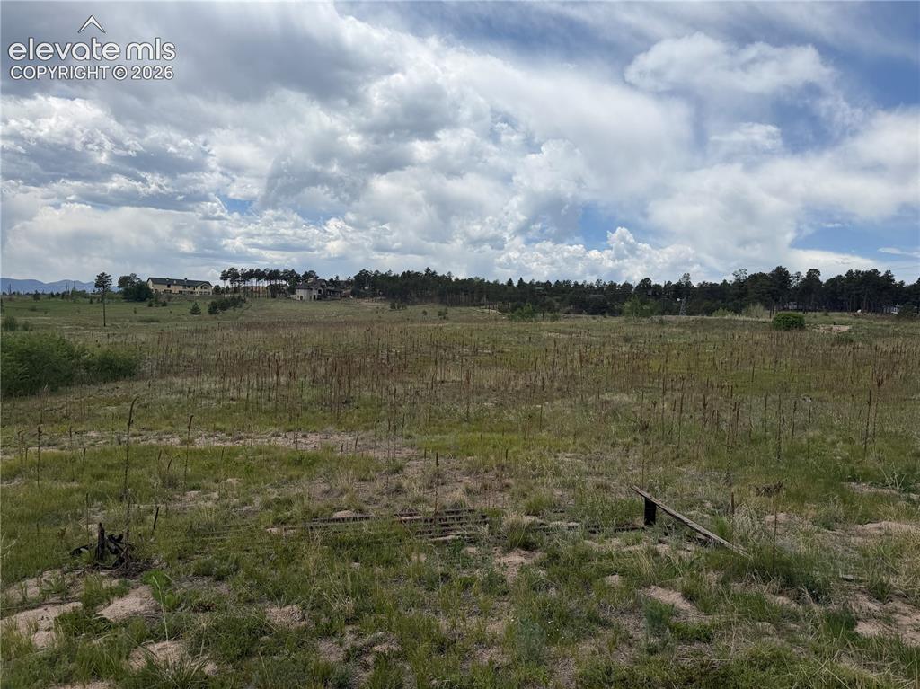 13810 Wildoak Drive Black Forest CO 80908