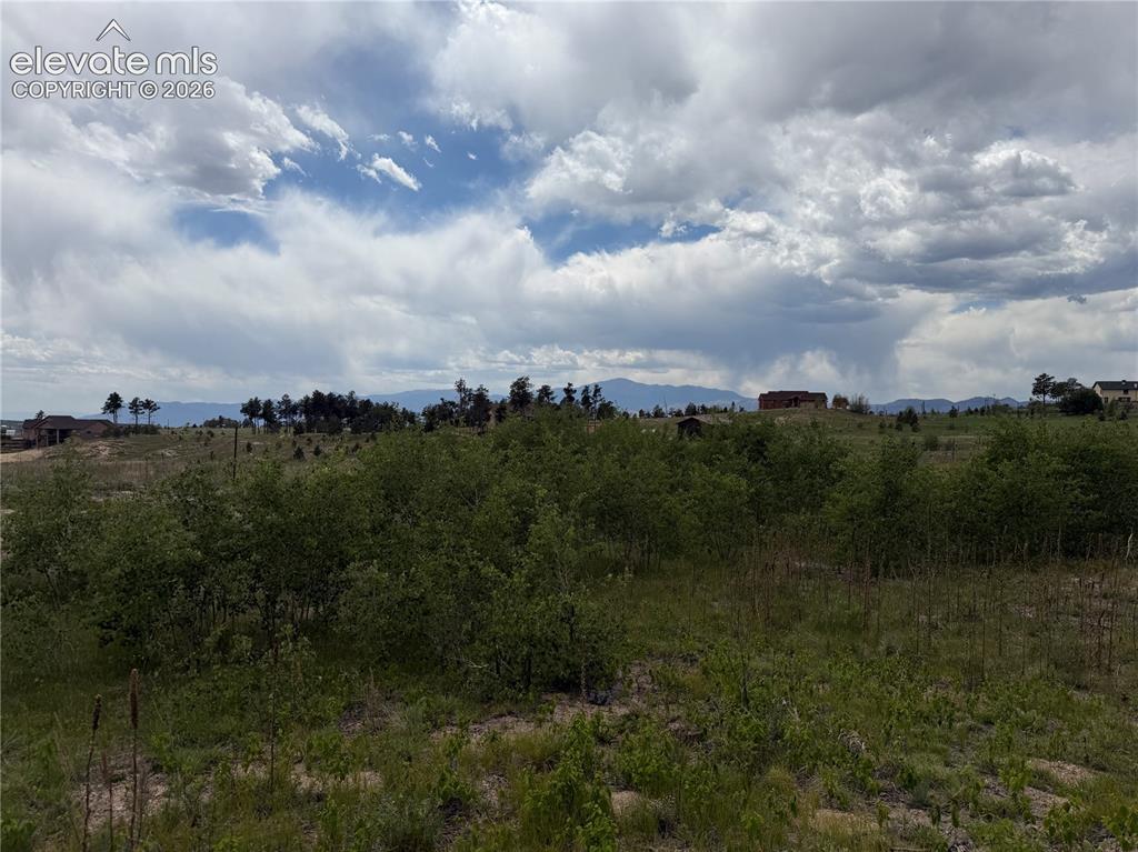 13810 Wildoak Drive Black Forest CO 80908