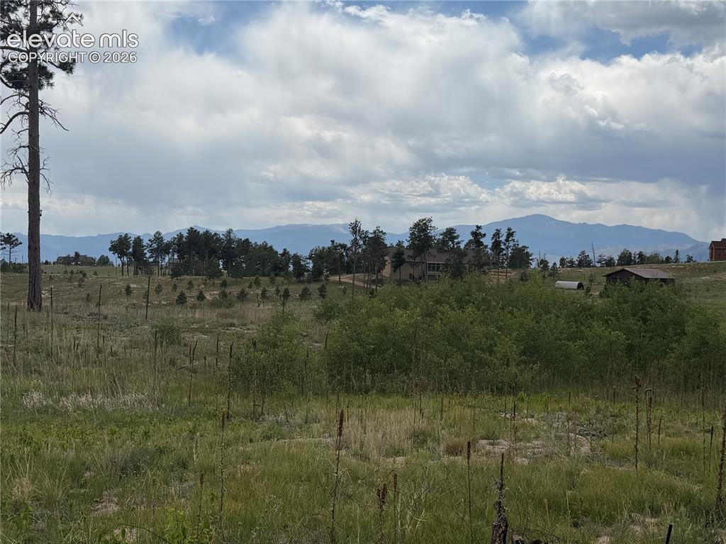 13810 Wildoak Drive Black Forest CO 80908