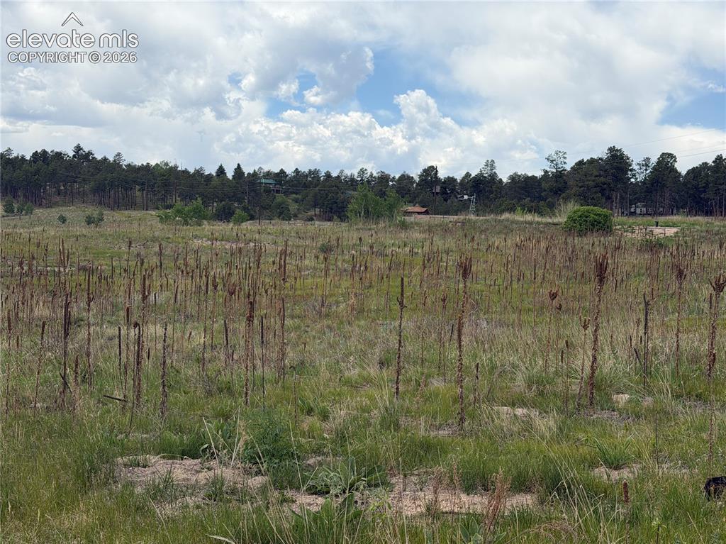 13810 Wildoak Drive Black Forest CO 80908