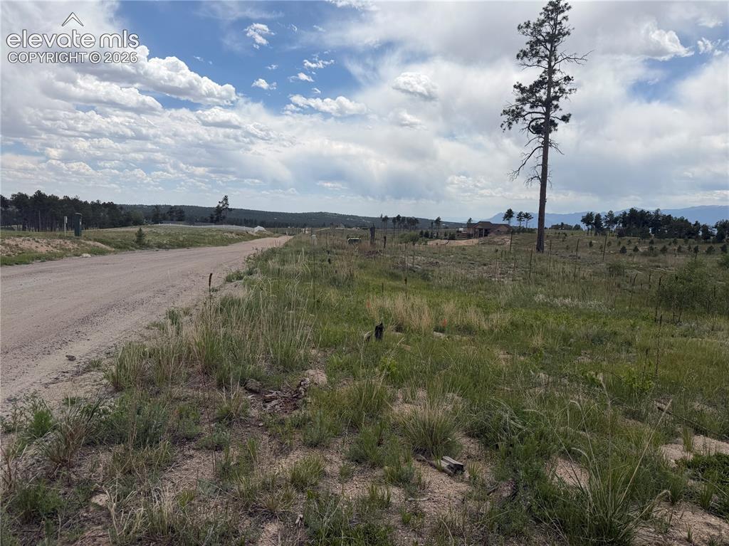 13810 Wildoak Drive Black Forest CO 80908