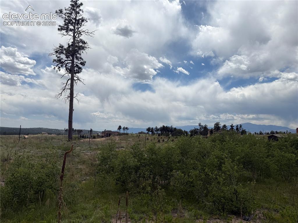 13810 Wildoak Drive Black Forest CO 80908