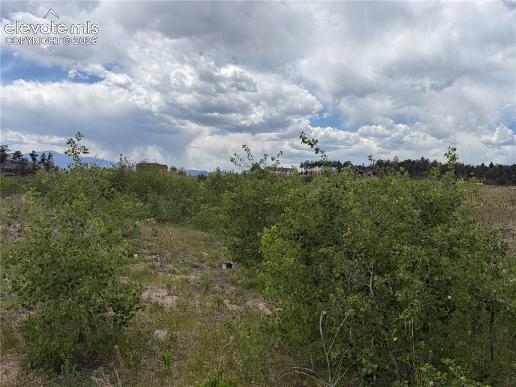 13810 Wildoak Drive Black Forest CO 80908