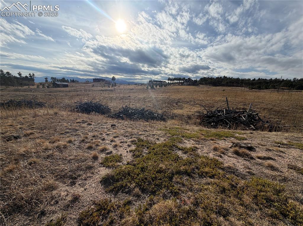 13810 Wildoak Drive Black Forest CO 80908
