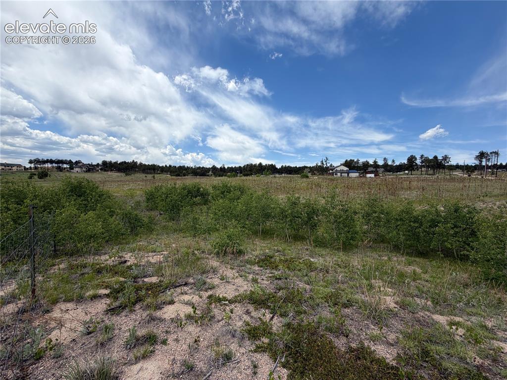 13810 Wildoak Drive Black Forest CO 80908