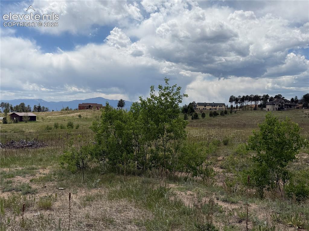 13810 Wildoak Drive Black Forest CO 80908