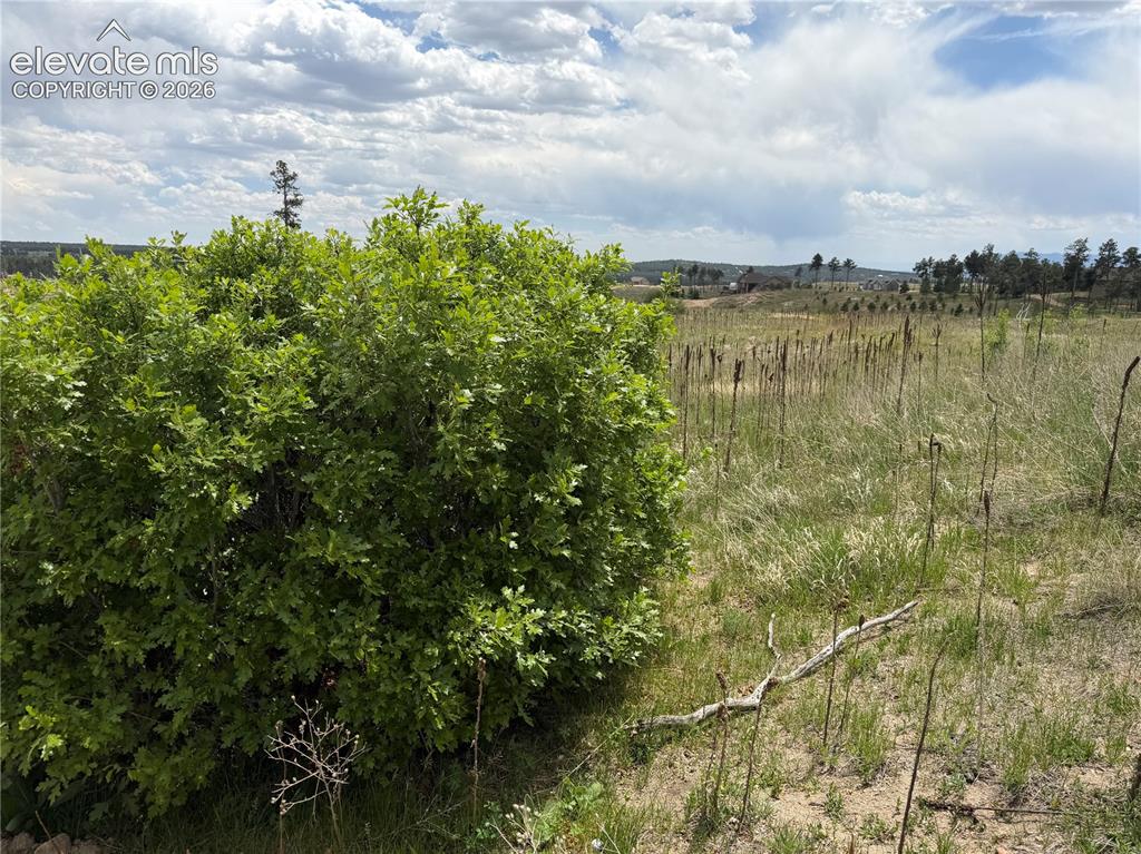 13810 Wildoak Drive Black Forest CO 80908