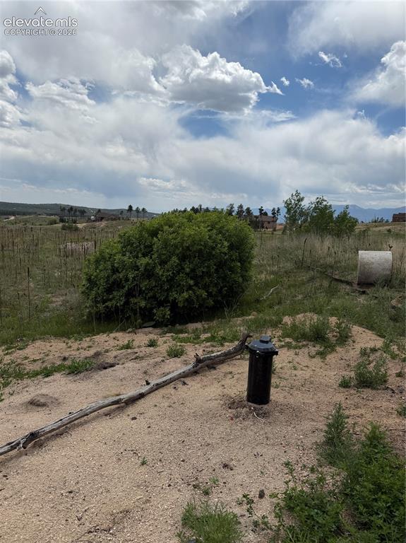 13810 Wildoak Drive Black Forest CO 80908