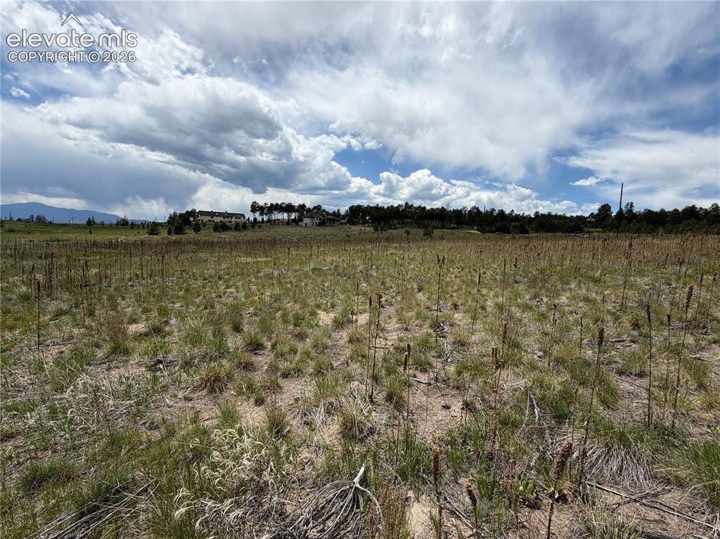13810 Wildoak Drive Black Forest CO 80908