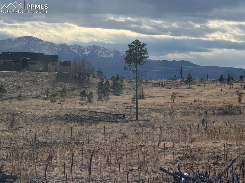 13810 Wildoak Drive Black Forest CO 80908