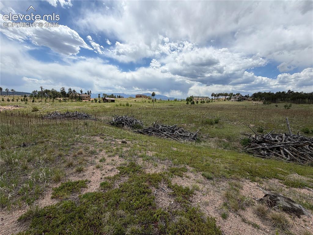 13810 Wildoak Drive Black Forest CO 80908