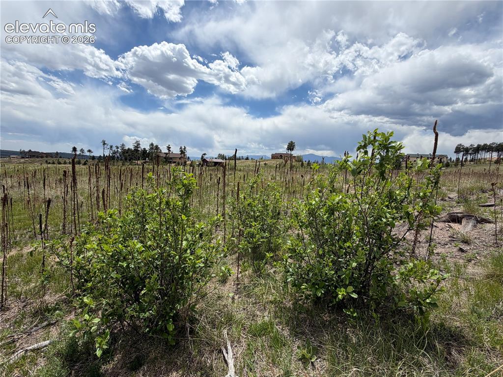 13810 Wildoak Drive Black Forest CO 80908