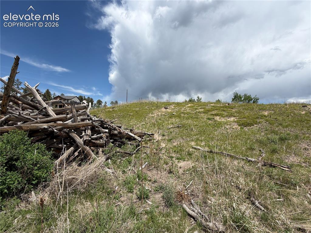 13810 Wildoak Drive Black Forest CO 80908