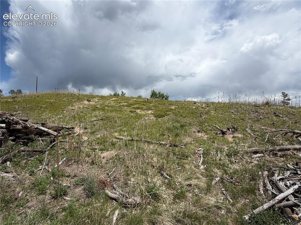 13810 Wildoak Drive Black Forest CO 80908