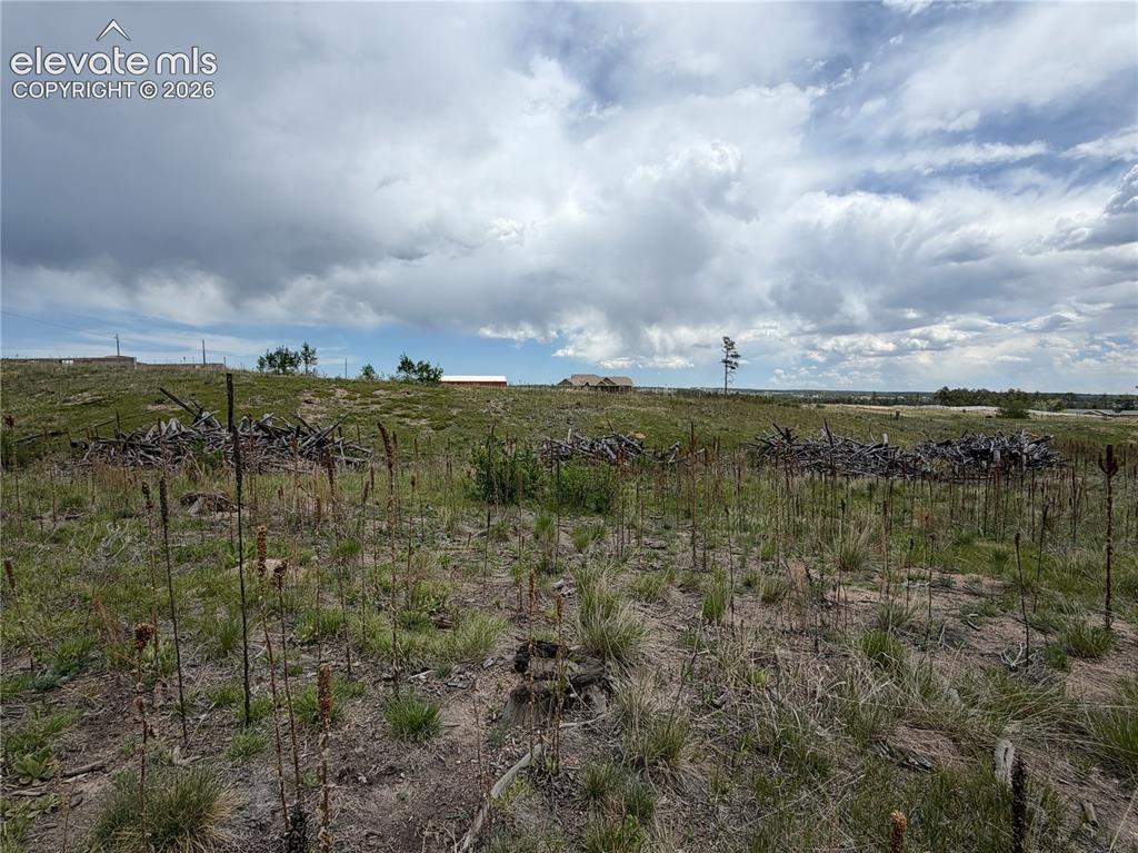 13810 Wildoak Drive Black Forest CO 80908