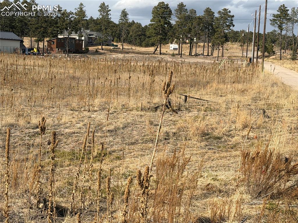 13810 Wildoak Drive Black Forest CO 80908