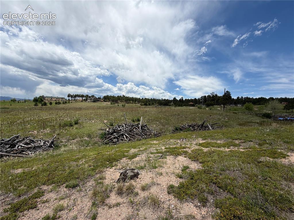 13810 Wildoak Drive Black Forest CO 80908