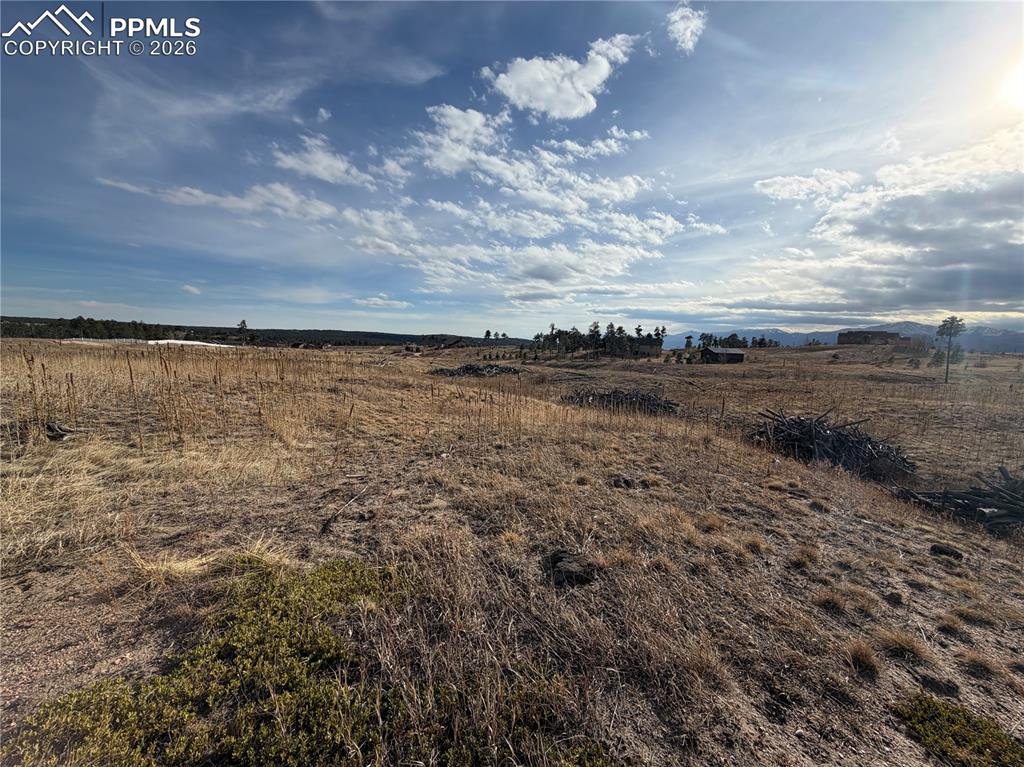13810 Wildoak Drive Black Forest CO 80908