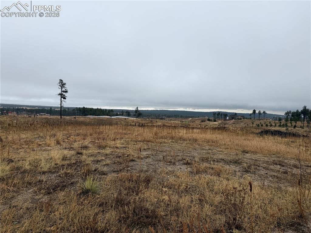 13810 Wildoak Drive Black Forest CO 80908