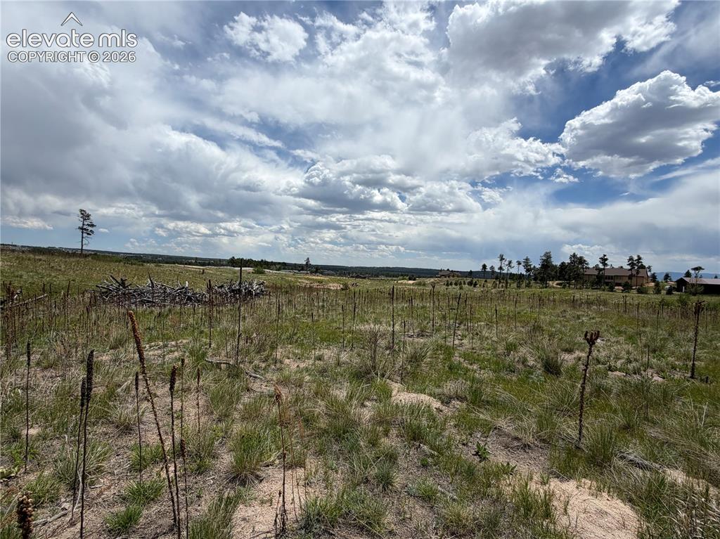 13810 Wildoak Drive Black Forest CO 80908