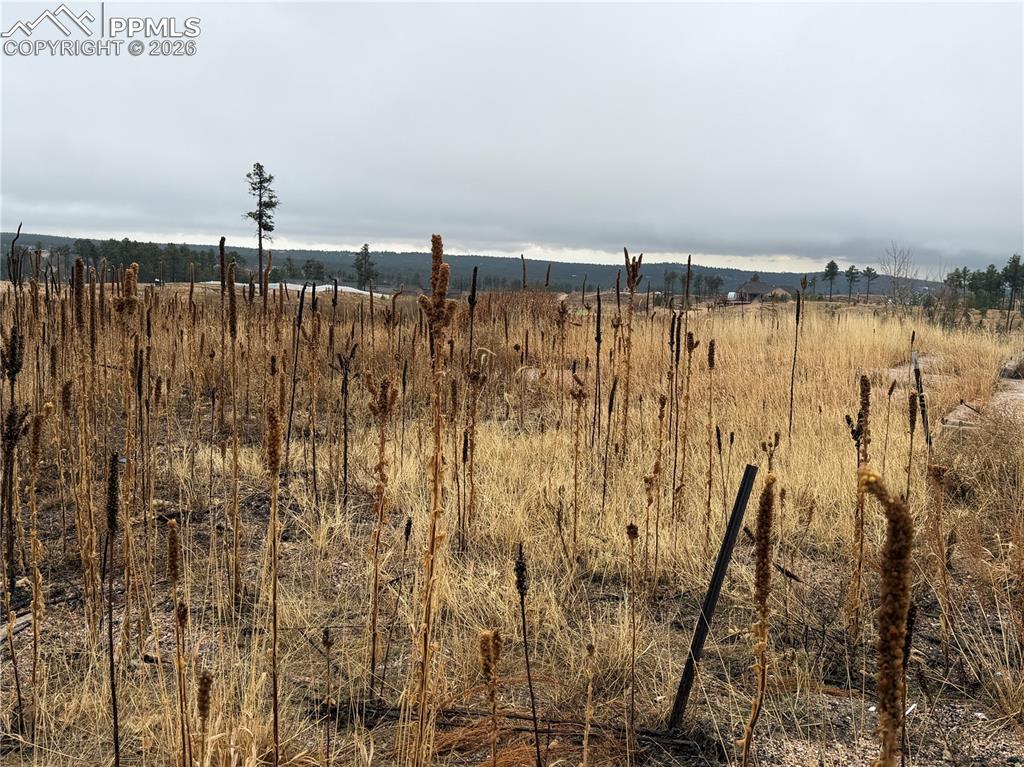 13810 Wildoak Drive Black Forest CO 80908